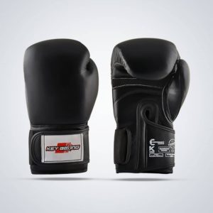 professional boxing gloves price